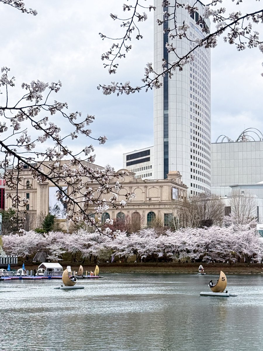 เม้าท์มอยเกาหลี tweet media