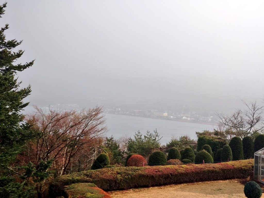 いいねこ☃️ tweet media