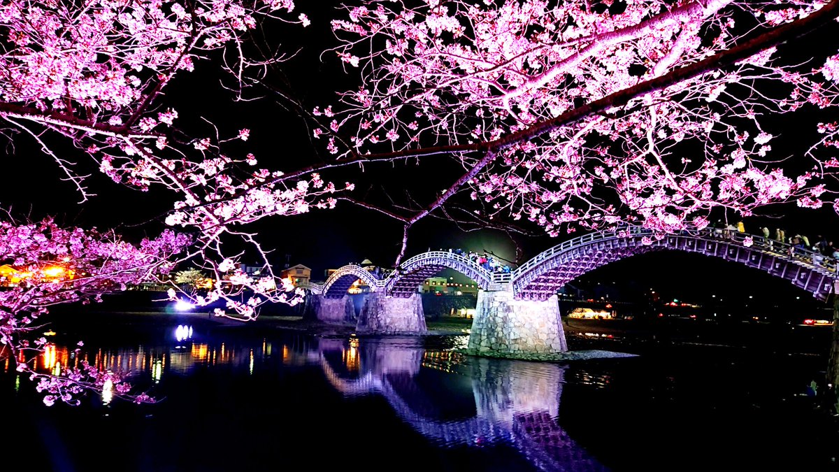 Anton@絵描き tweet media