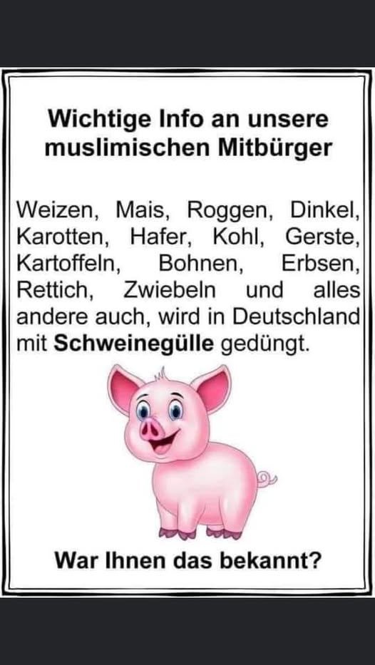 michael baumeister tweet media