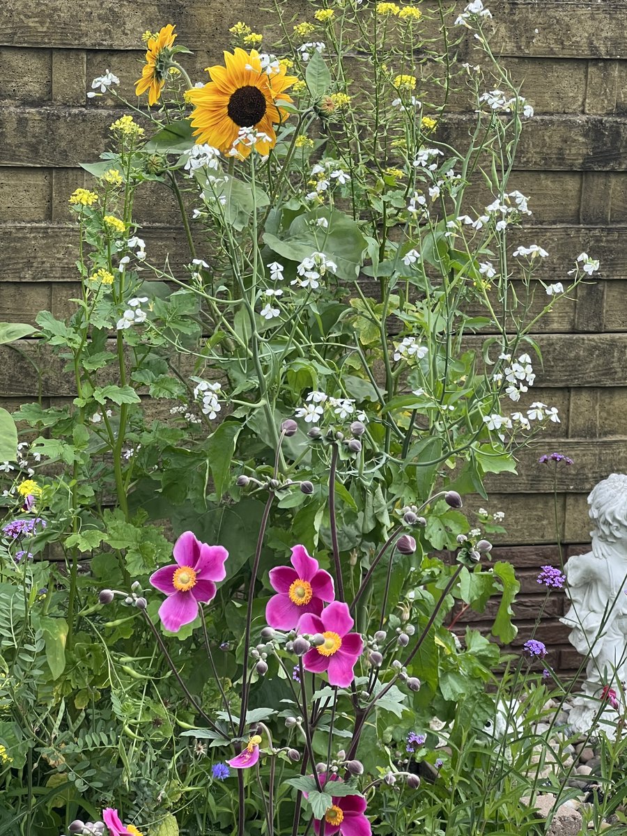 hon_joke's tweet image. Goedemorgen wens jullie een fijne dinsdag toe!😘🌤️
Vandaag dag 31 van #ElkeDagEenBloem 💛#Challenge en is een initiatief van ⁦@wbos54⁩ 
Bedankt Willy 😘was weer leuk om mee te doen 💛