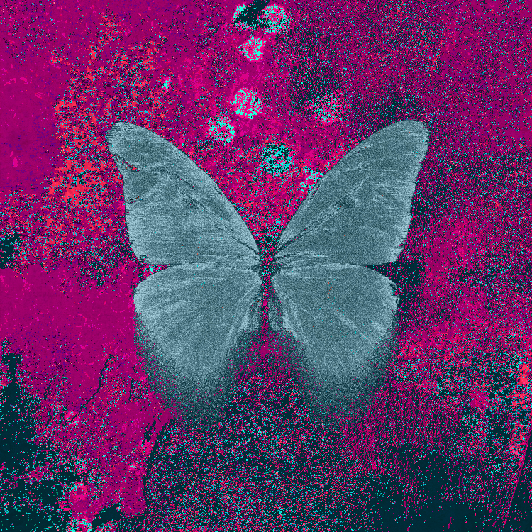 NINFA BOT tweet media