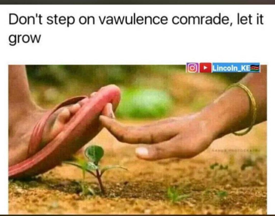 Neilwones tweet media