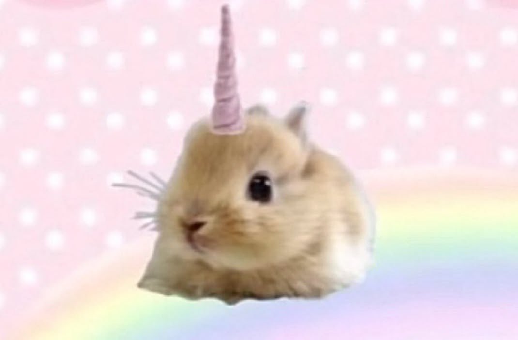 ݁ ˖Ი𐑼⋆ 𝑐𝑜𝑡𝑡𝑜𝑛 .𖥔 ݁ ˖ 𝑠ℎ𝑒𝑑𝑡𝑤𝑡 tweet media