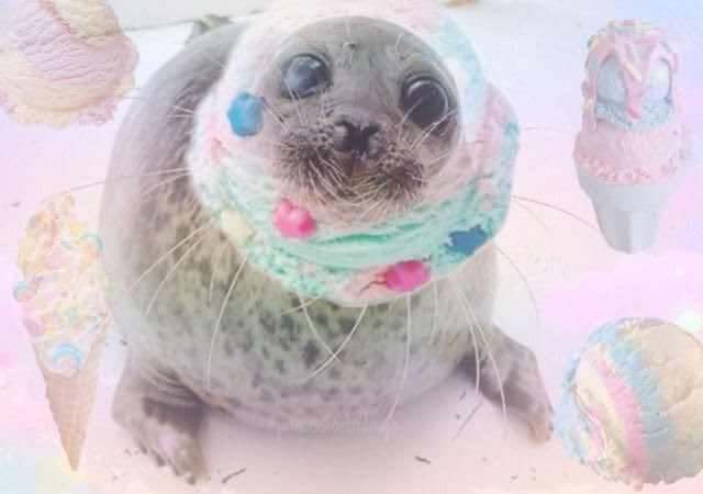 ݁ ˖Ი𐑼⋆ 𝑐𝑜𝑡𝑡𝑜𝑛 .𖥔 ݁ ˖ 𝑠ℎ𝑒𝑑𝑡𝑤𝑡 tweet media