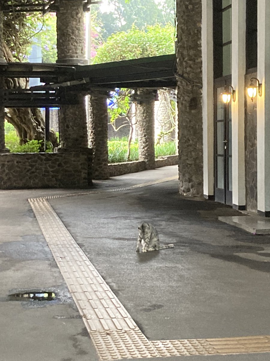 落乃いなほ🎠🎴#新人Vtuber tweet media