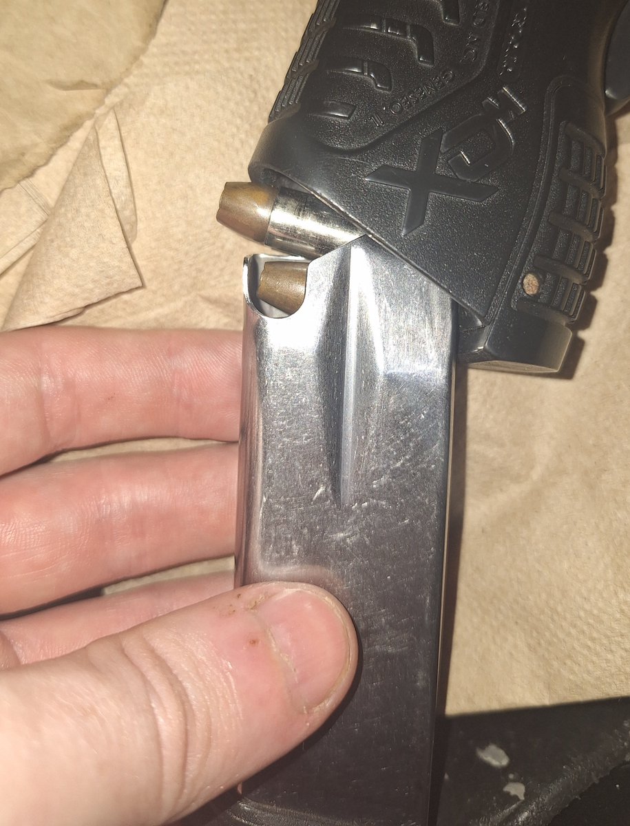 Ritsu the White tweet media