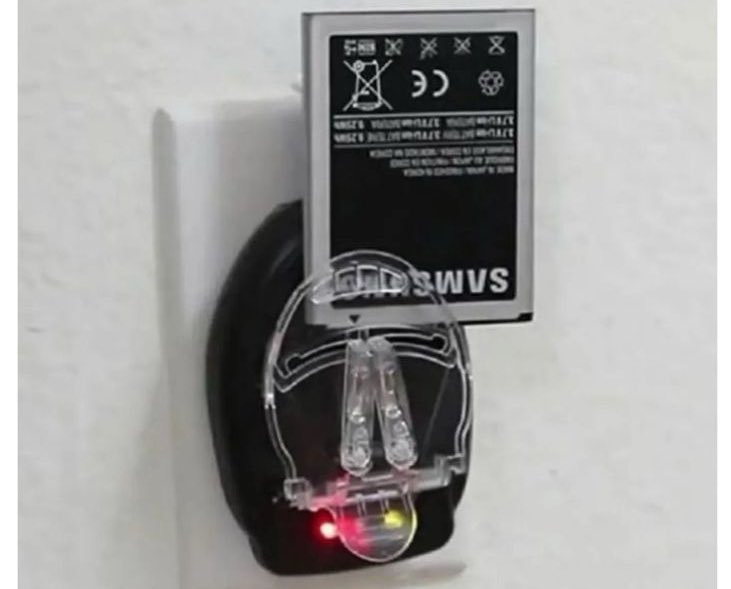 Precious 🐍💕 tweet media