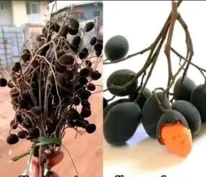 Katerina tweet media