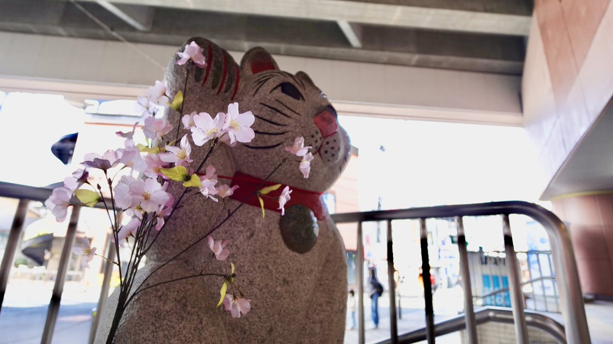 高野亮介 tweet media