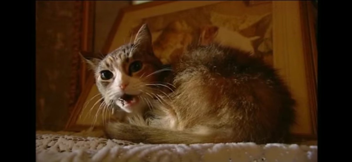 L A Magloc tweet media