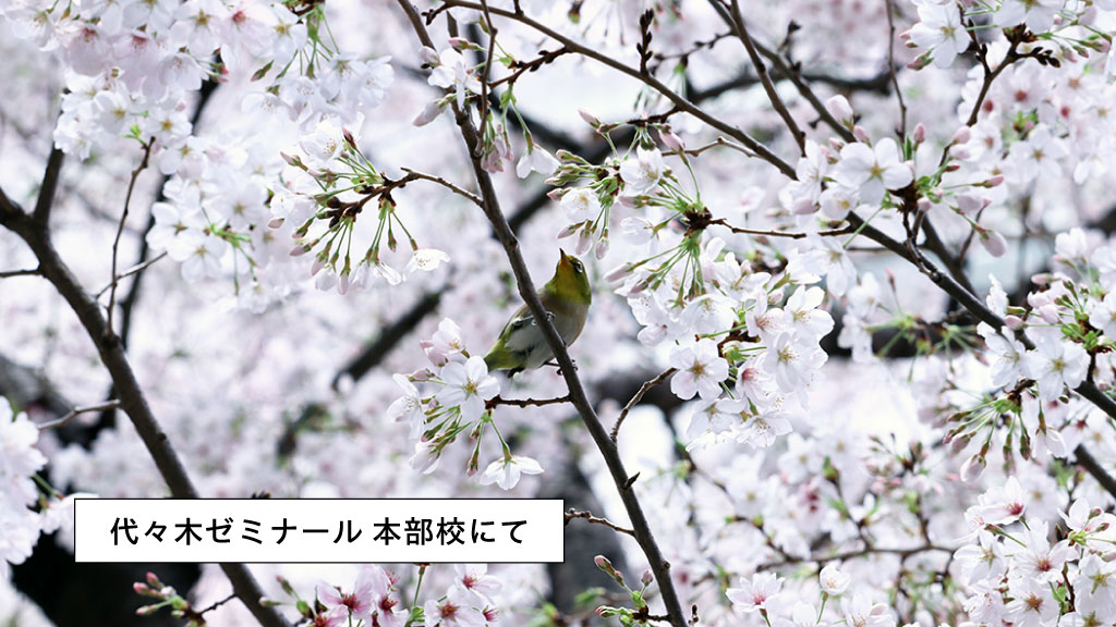 公式】代ゼミ (@yozemi_official) / Posts / X