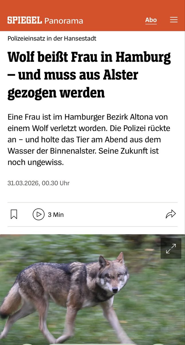 André Flach tweet media