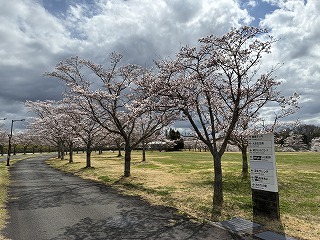 国営備北丘陵公園【公式】 tweet media