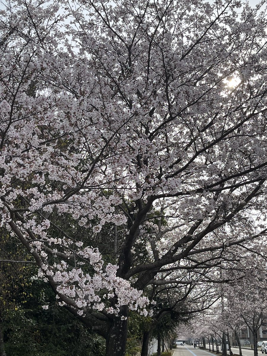 FukuokaFun tweet media