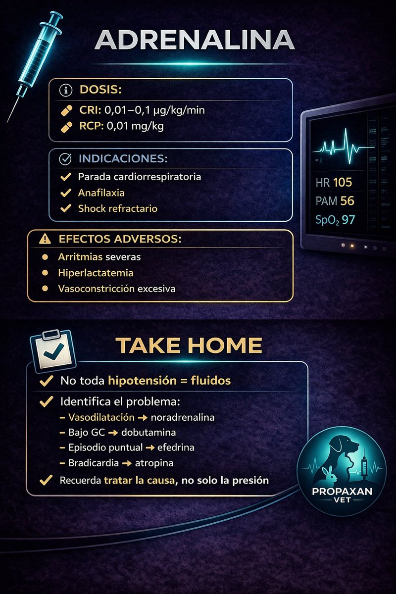 Propaxan Vet tweet media