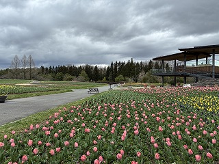 国営備北丘陵公園【公式】 tweet media