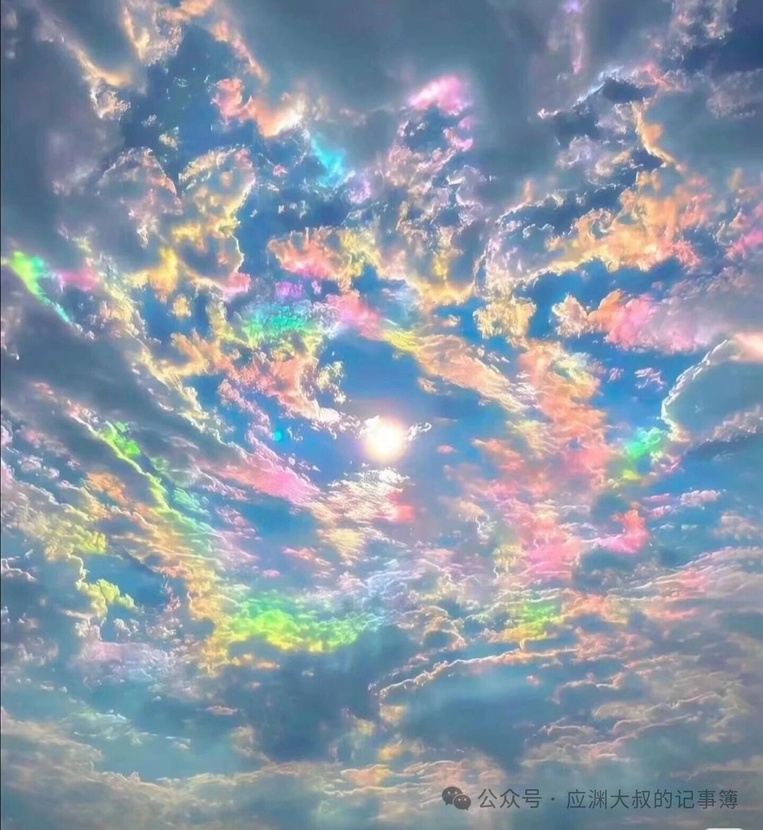 种花家的一粒小泥土（点赞必回） tweet media