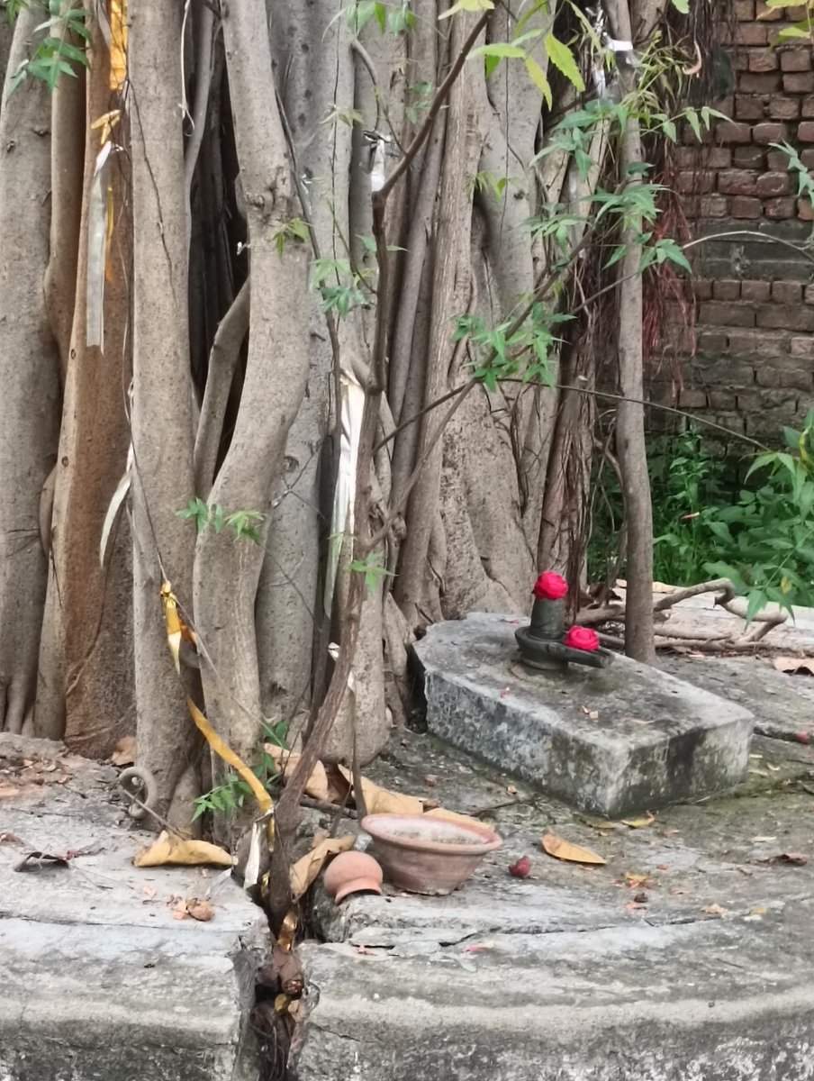 Rohitash Upadhyay tweet media