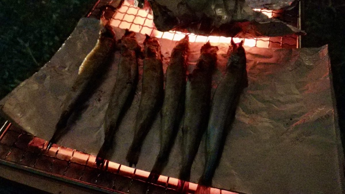 カエルの魔王タコス🐸🌮＠ワイン好き旅館オーナーV tweet media