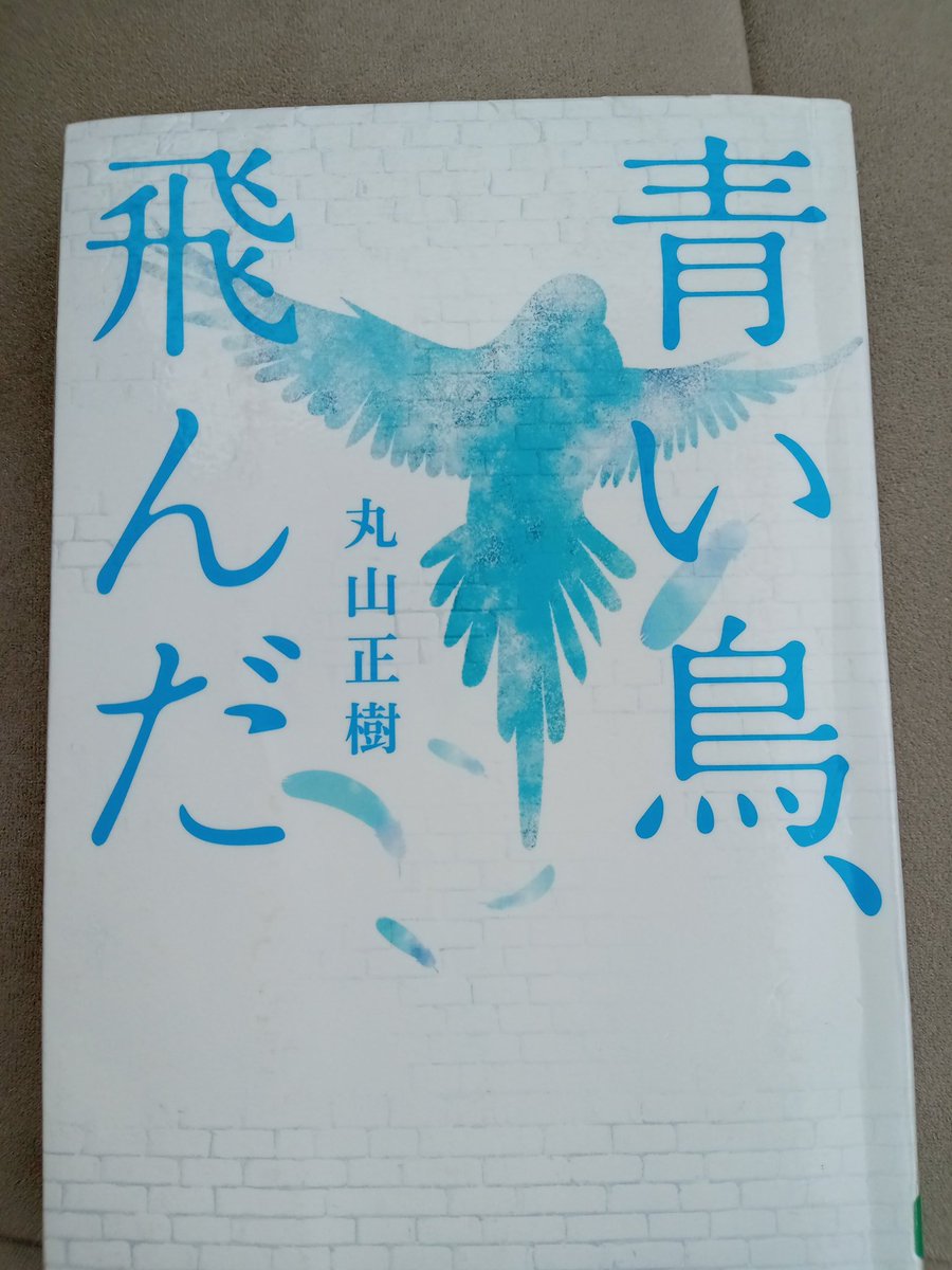 ねこどの（低浮上&土日ほぼ休み） tweet media