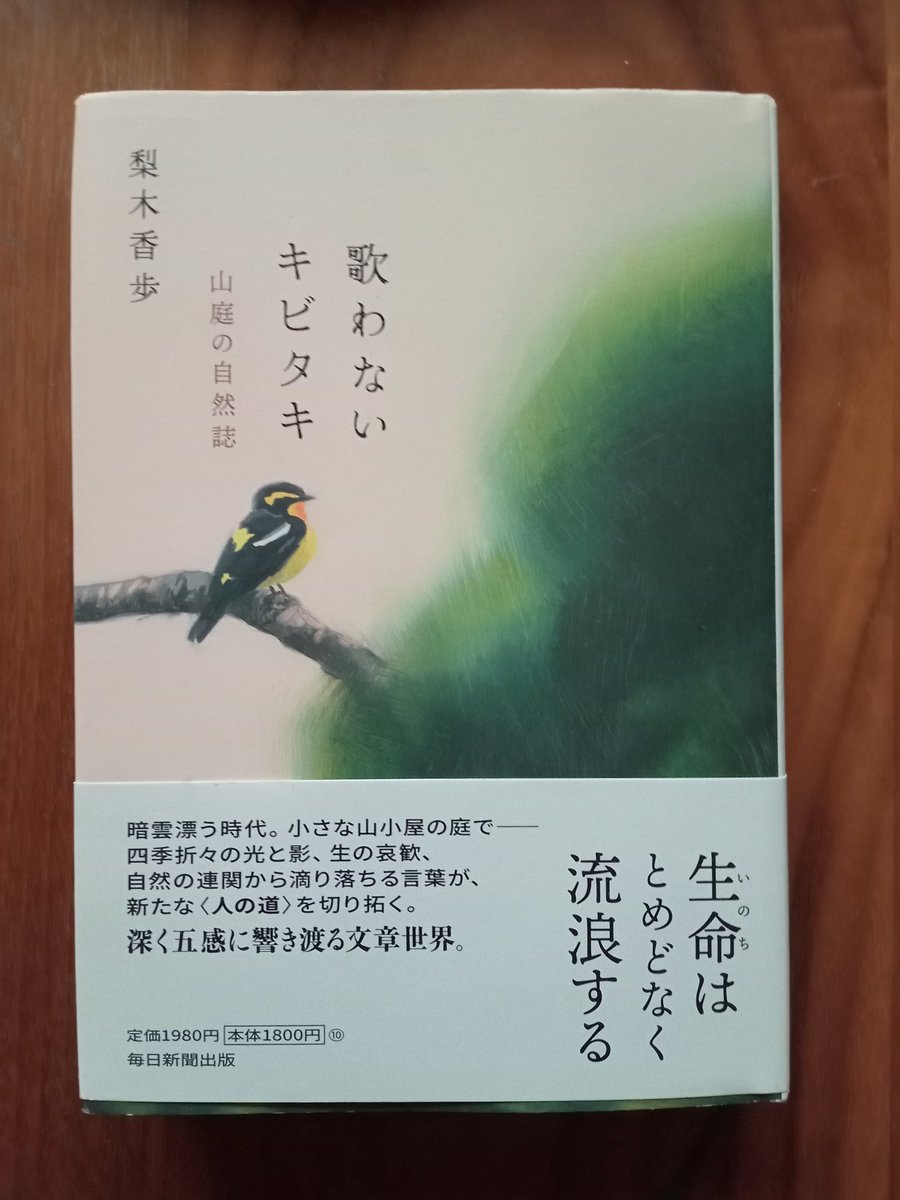 ねこどの（低浮上&土日ほぼ休み） tweet media