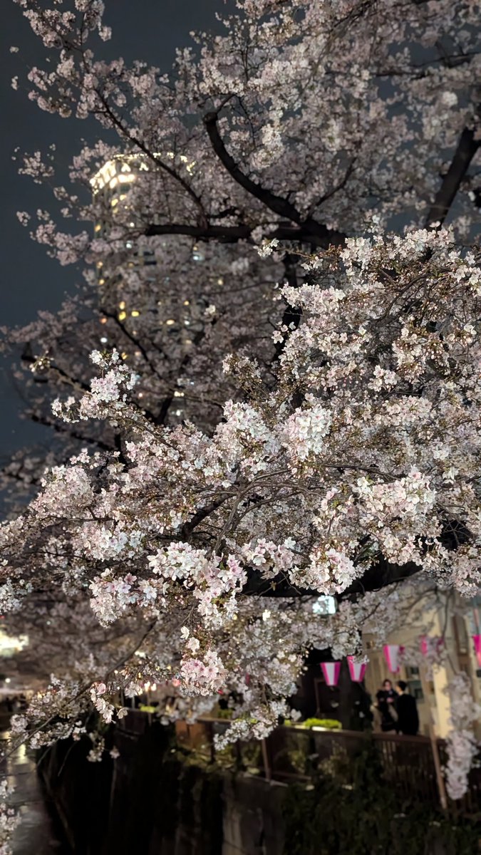 ナッツ tweet media