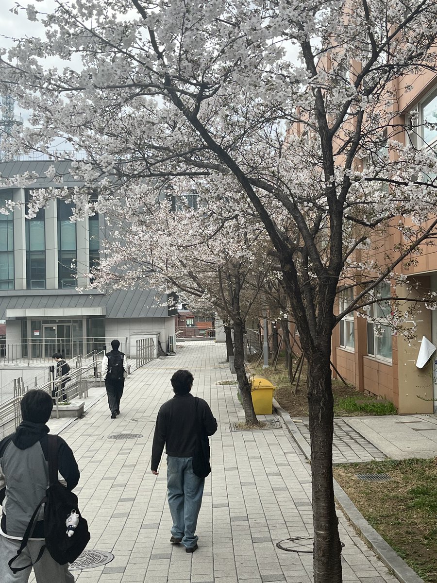 고유연 tweet media