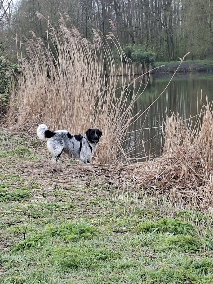 ♠QUEEN OF DARKNESS tweet media