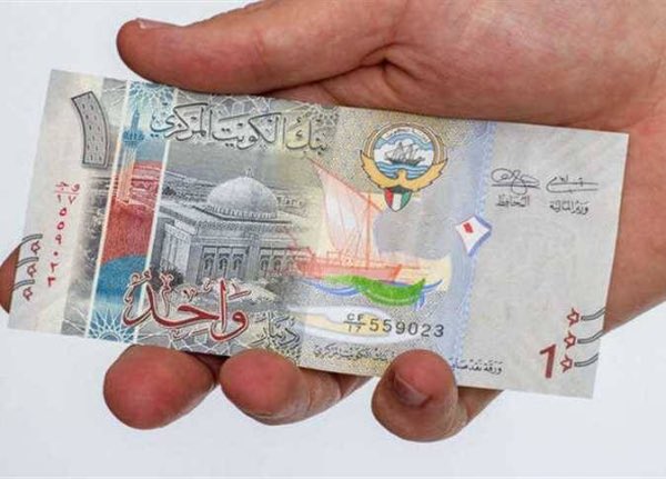 محمود شاكر الفيلكاوي tweet media