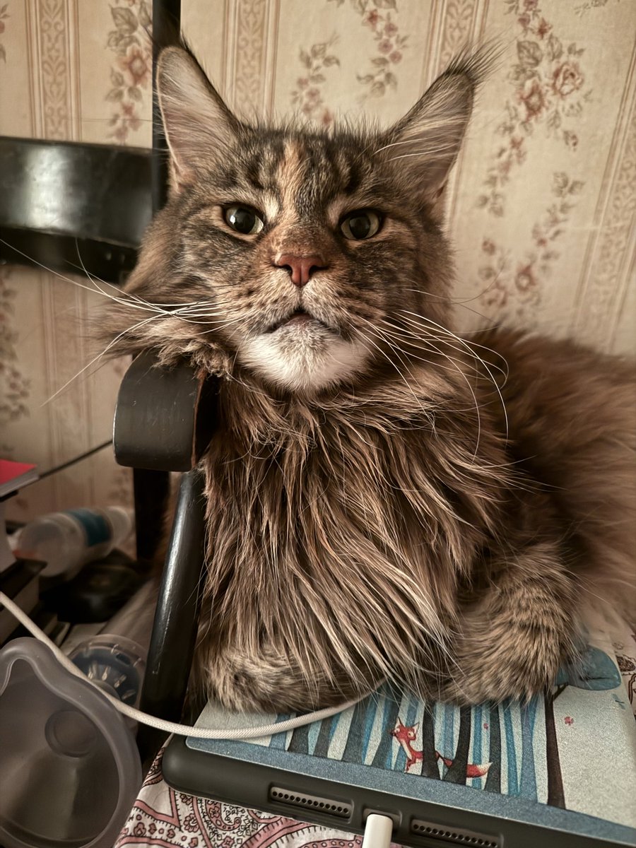 грязная дндшница tweet media