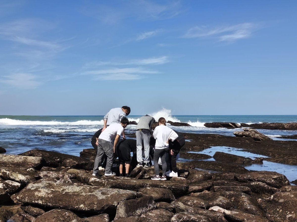 IES Barañáin tweet media