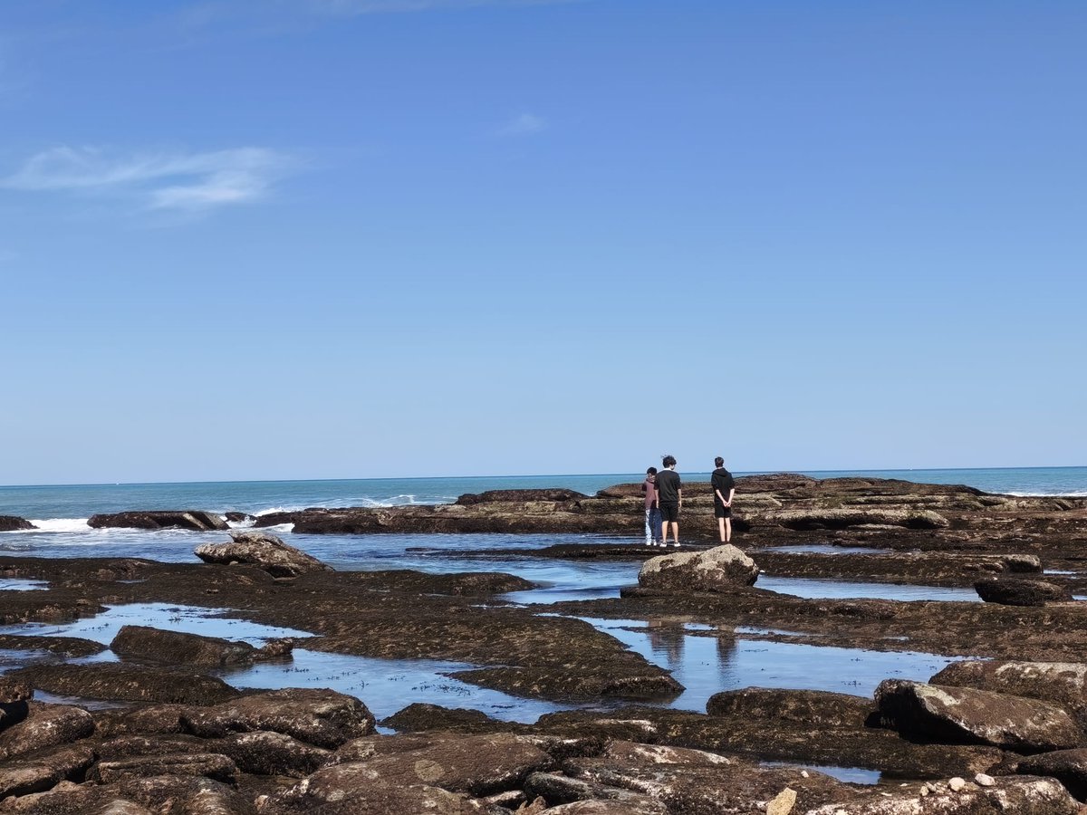 IES Barañáin tweet media