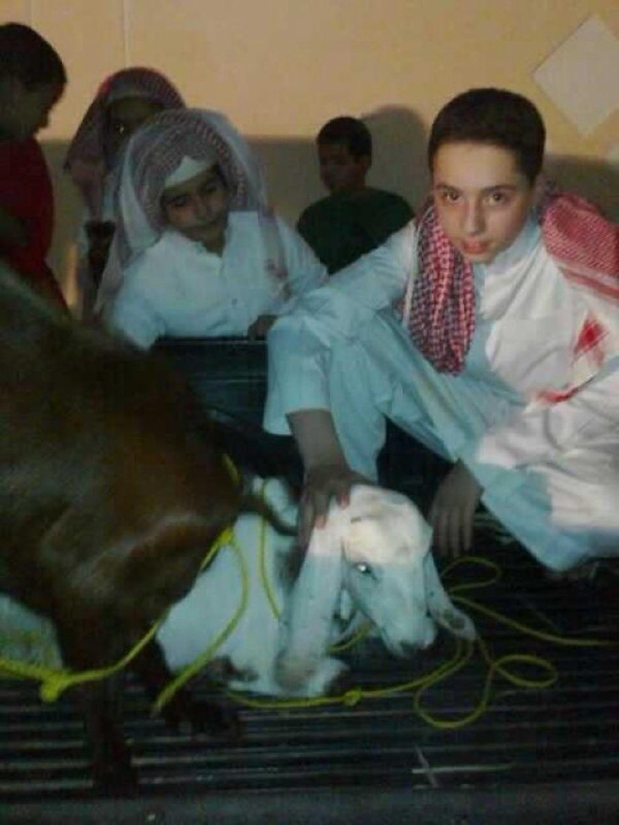 Savior Angel tweet media