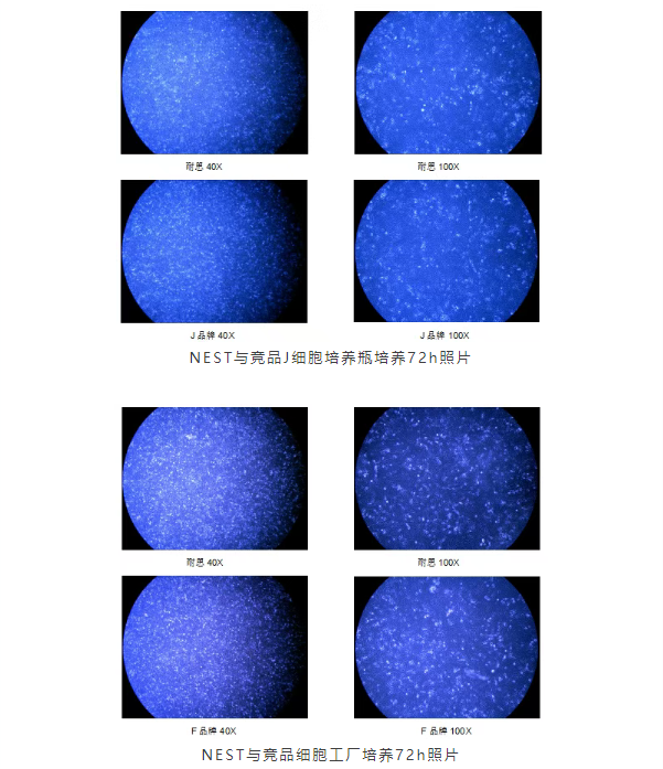NEST Biotechnology tweet media