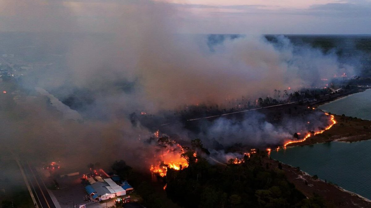 Alex Terry tweet media