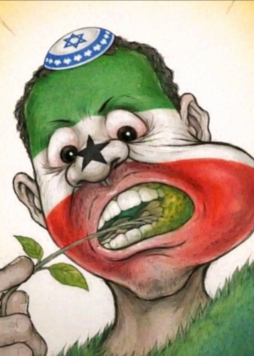 Sheikhspear 🍉 tweet media