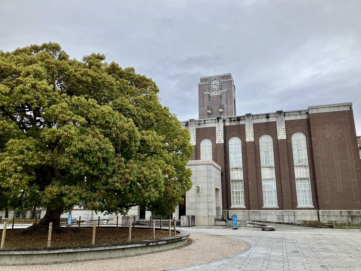 じんさんNK🚀🐰 tweet media