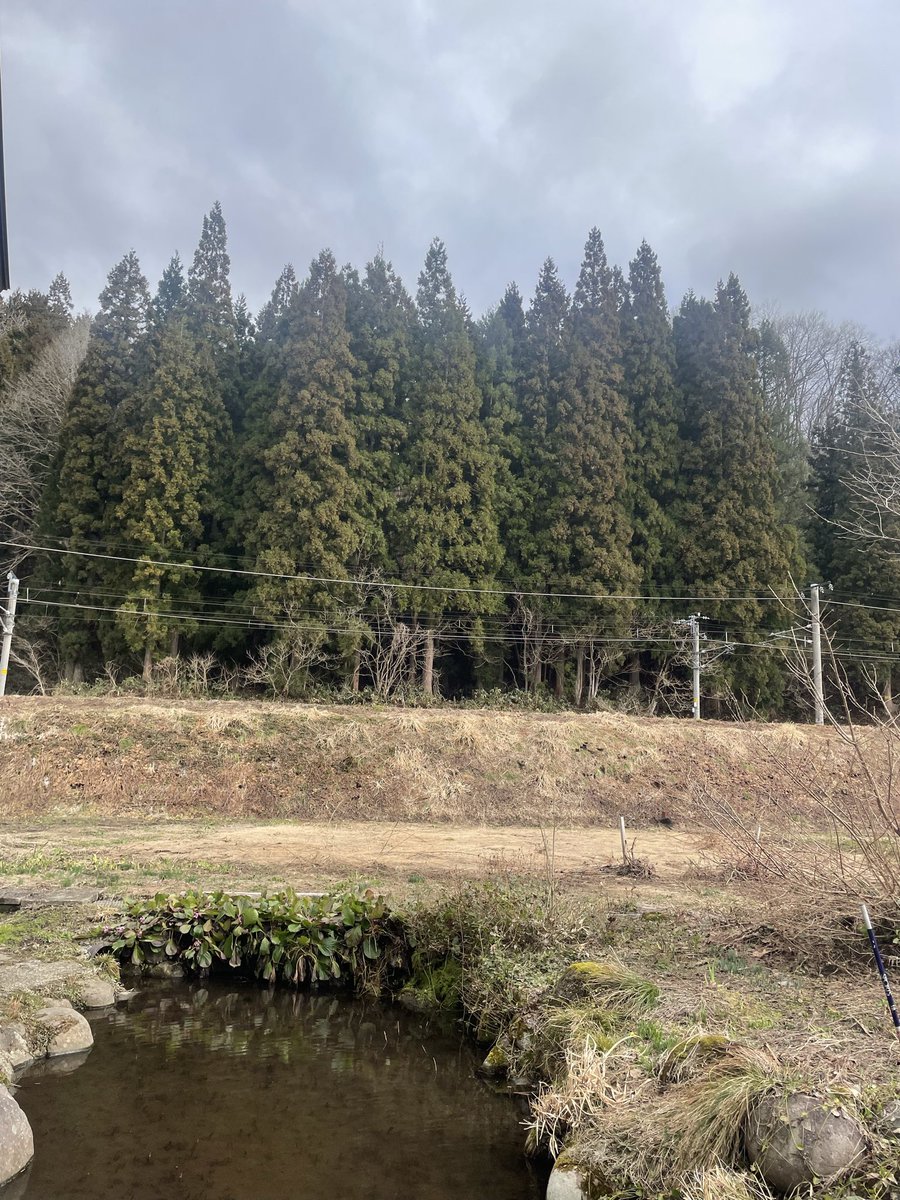 めぐめぐ tweet media