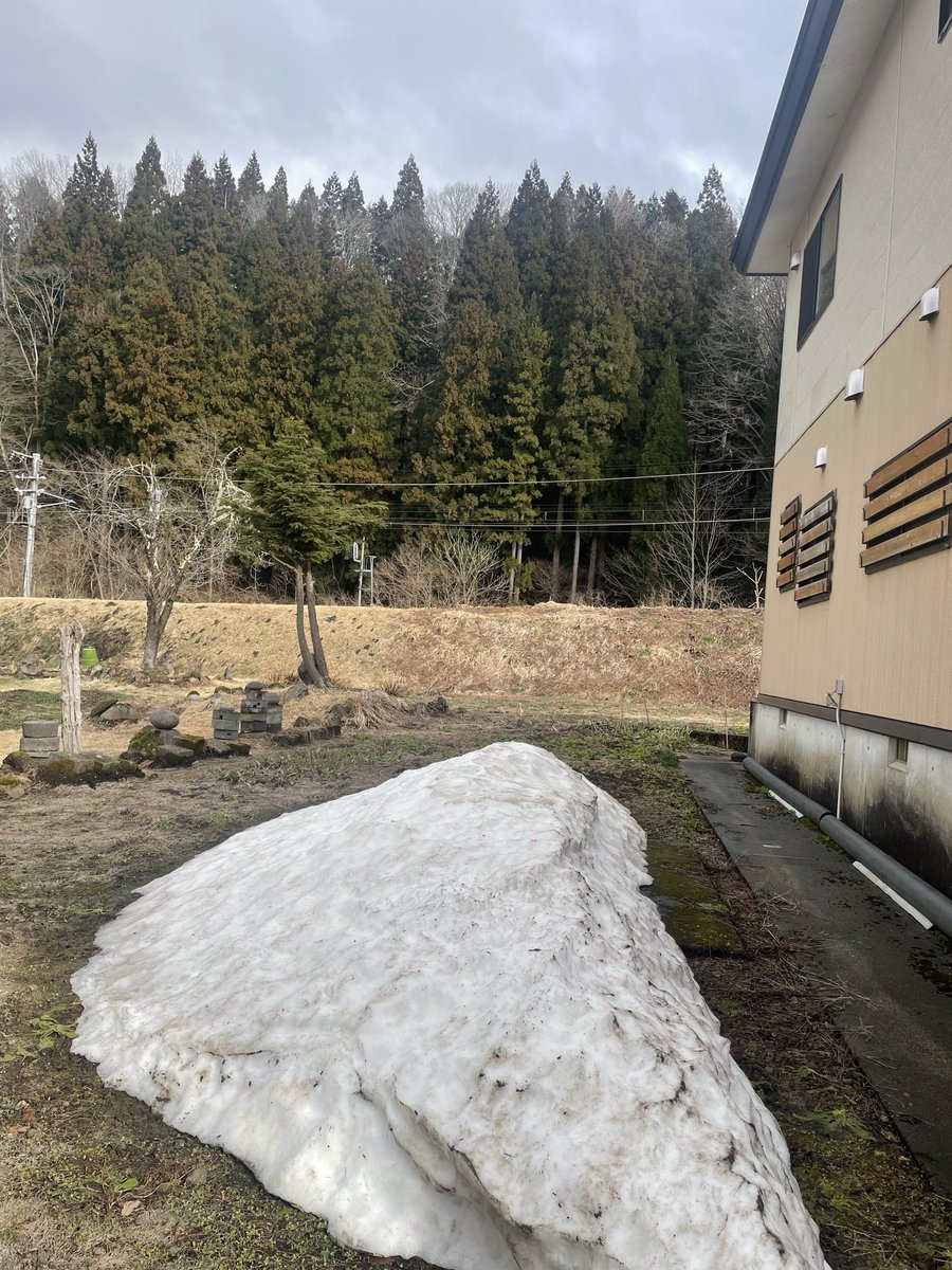 めぐめぐ tweet media