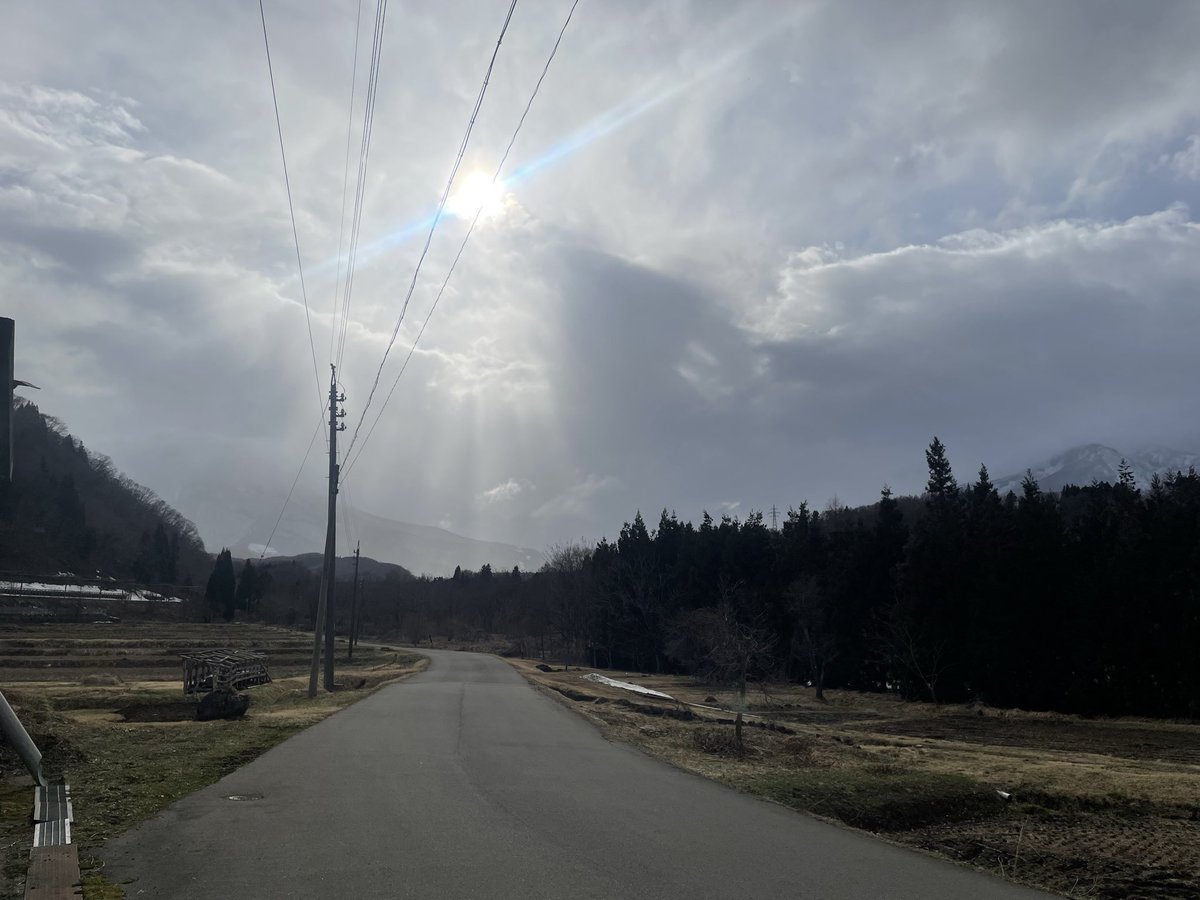 めぐめぐ tweet media