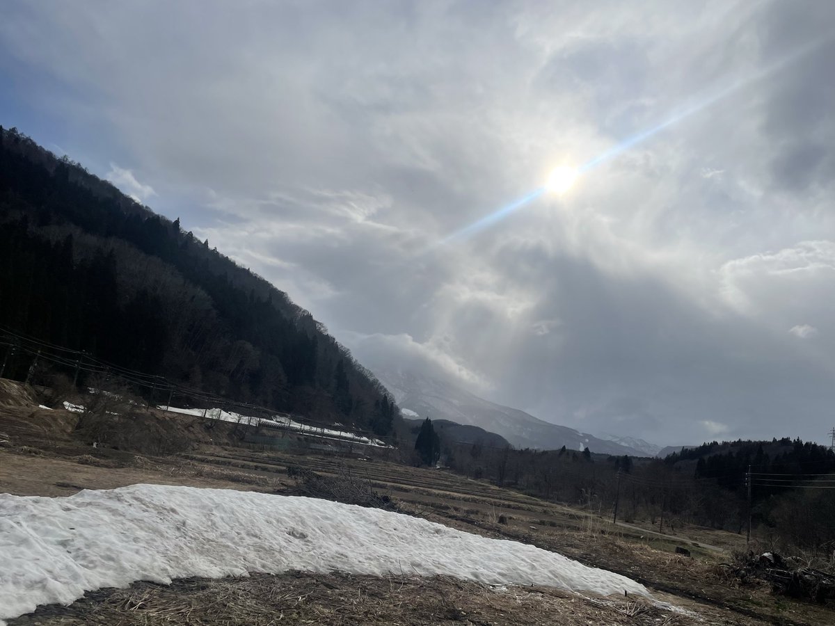 めぐめぐ tweet media