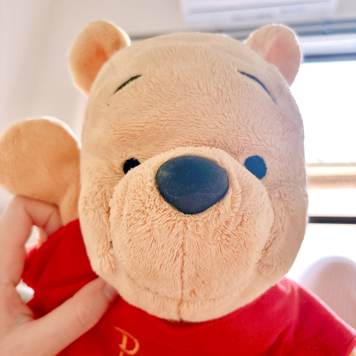 Rigel🐈‍⬛ tweet media