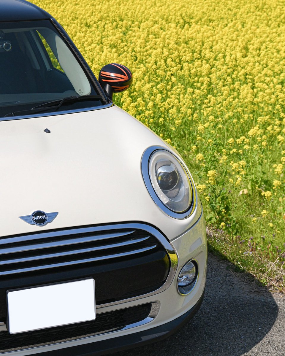 MINI_JAPAN's tweet image. MINI Family の写真シェア3月編💛

今年もこの時期は菜の花とMINIの写真を投稿する人も多く、 #MINIFamily の皆さんの投稿で春の訪れを感じます🌼

1 IG/ rui_nico25
2 IG/ blue_32photo

#MINIJapan