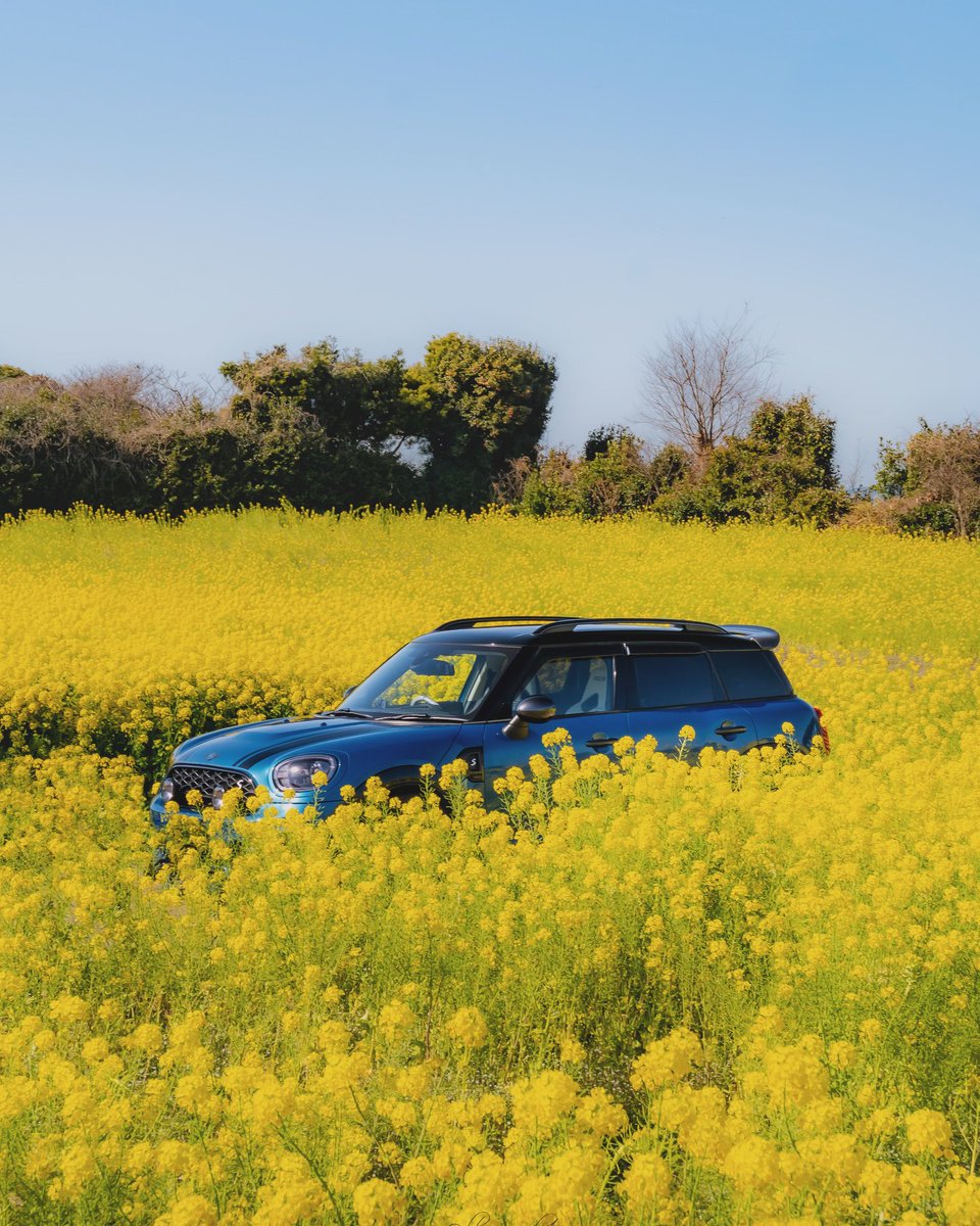 MINI_JAPAN's tweet image. MINI Family の写真シェア3月編💛

今年もこの時期は菜の花とMINIの写真を投稿する人も多く、 #MINIFamily の皆さんの投稿で春の訪れを感じます🌼

1 IG/ rui_nico25
2 IG/ blue_32photo

#MINIJapan