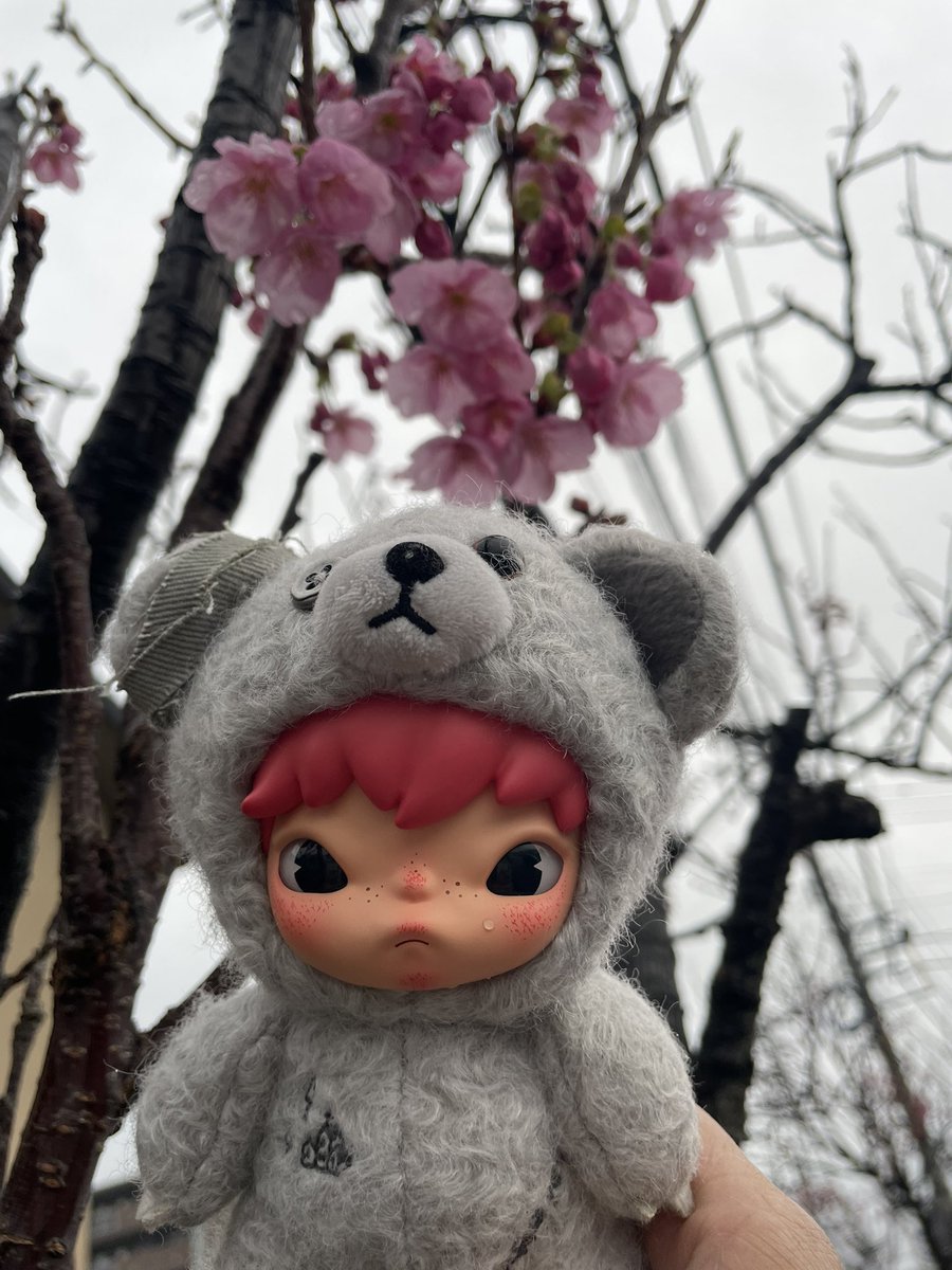 べてぃこ tweet media