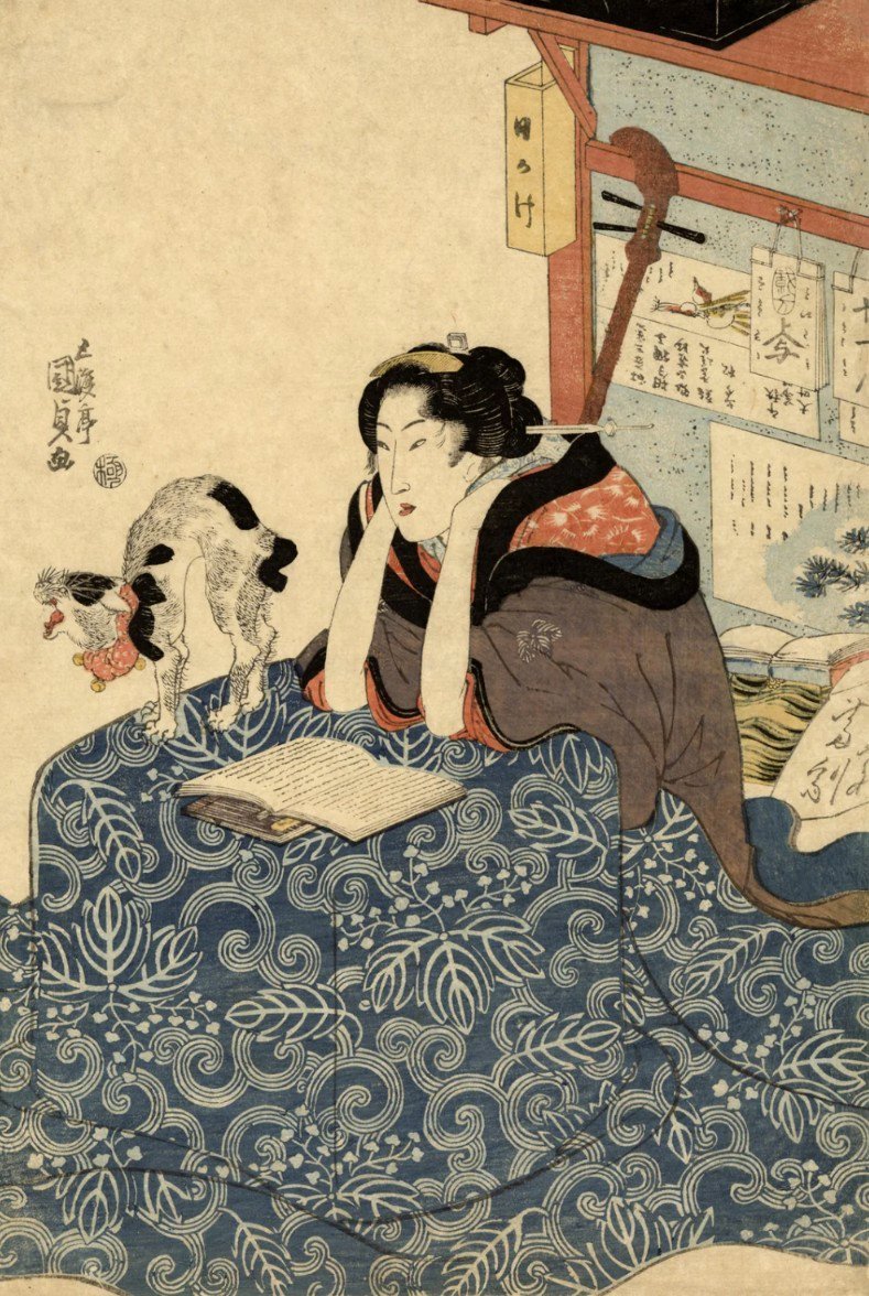 夜來香 yè lái xiāng tweet media