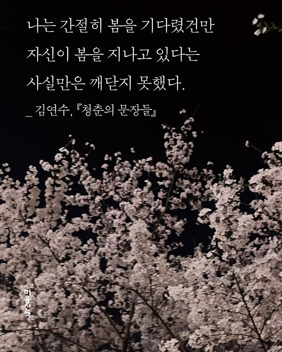 마음산책 tweet media