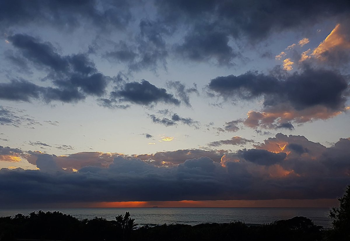 ReenvalSA tweet media