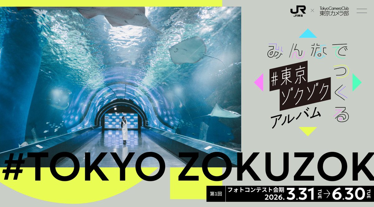 Hideo Tsukazaki@東京カメラ部代表 tweet media